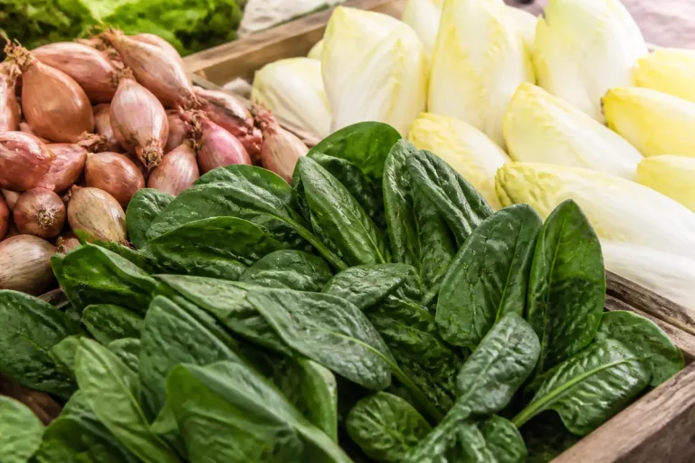Épinards, échalotes et endives frais présentés en étal de fruits et légumes.